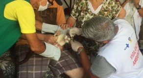 Vigilância em Saúde de Caruaru participa de reunião integrada para combate a Esporotricose Felina