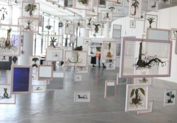 Bienal de São Paulo abre hoje com Coreografias do Impossível