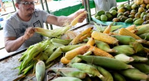 Mão de milho está sendo comercializada a R$ 25 na Ceaca, em Caruaru