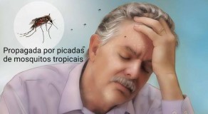 Casos de dengue, zika e chikungunya aumentam em Pernambuco