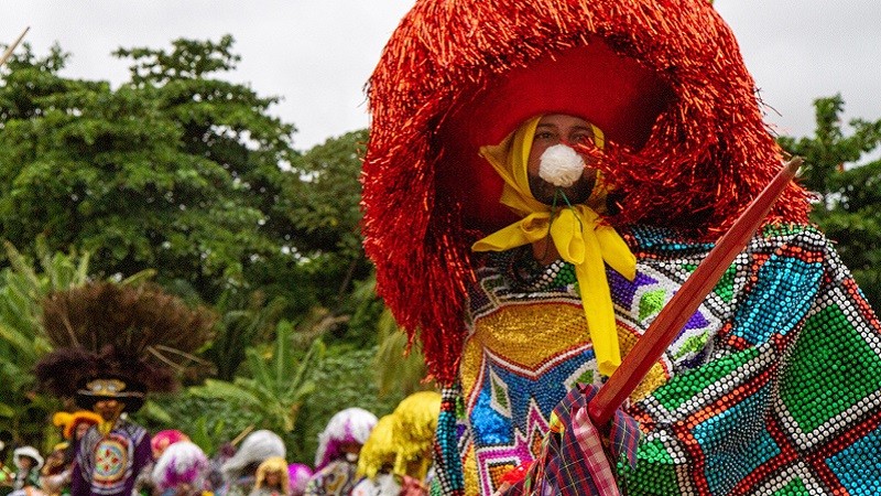 Nada de quarta-feira ingrata: Geórgia Alves nos brinda com belo texto sobre o Carnaval pernambucano