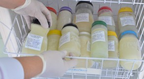 Campanha do Ministério da Saúde busca aumentar em 15% doações de leite materno